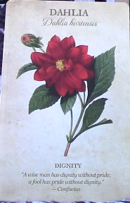 Botanical Inspirations Deck & Book Set